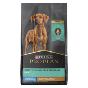 Buy Purina Pro Plan Puppy Large Breed Chicken & Rice Formula Online