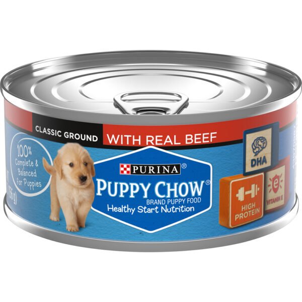 Buy Purina Puppy Chow Wet Canned Puppy Dog Food with Real Beef 5.5oz Online