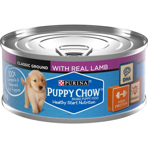 Buy Purina Puppy Chow Wet Canned Puppy Dog Food with Real Lamb 5.5oz Online