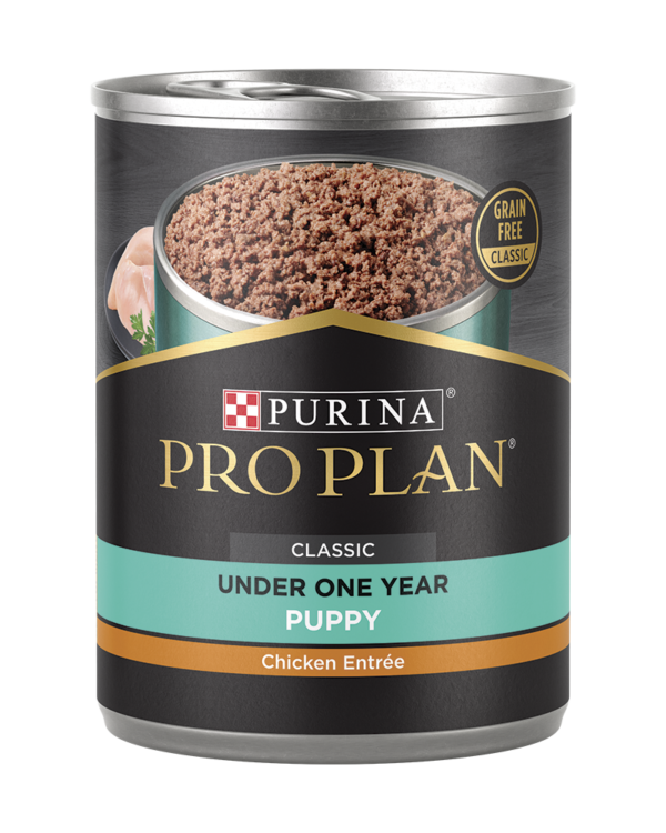 Purina Pro Plan Development Puppy Chicken & Rice Entrée Classic Wet Dog Food 13oz